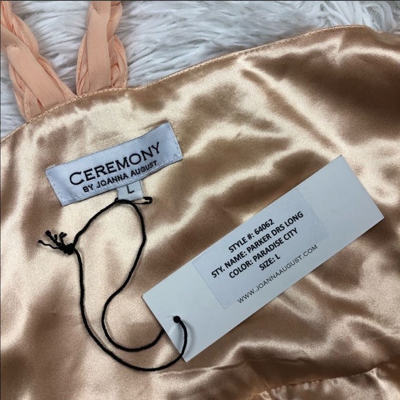 NWT Joanna August Peach Blush Wrap Chiffon Gown - Picture 6 of 8